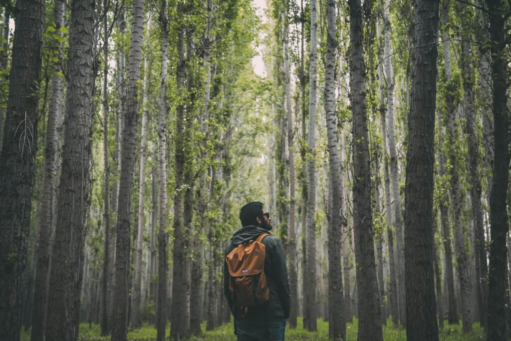 A man with a backpack explores a lush green forest, surrounded by tall trees.
